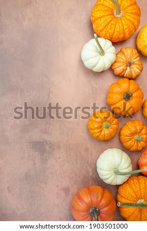 fall background with multi color pumpkins