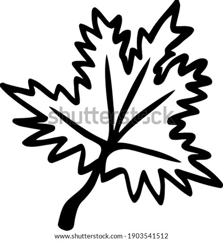 Autumn maple leaf. Hand-drawn black and white linear doodle. Natural clipart. A single illustration in a forest theme. Cute vector illustration for children.