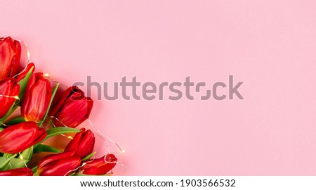Banner with red tulip bouquet on pastel pink background, close-up, copy space, text place. Flower shop. Greeting card. Gift certificate. Valentine day, international woman day, mother day. Birthday.