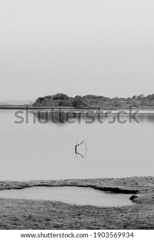 Monochrome image of calm sea bay with wooden branch in the water with nice reflection. Shot in Sweden