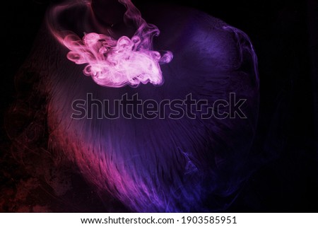 Abstract purple smoke moves on black background. Beautiful swirling smoke.