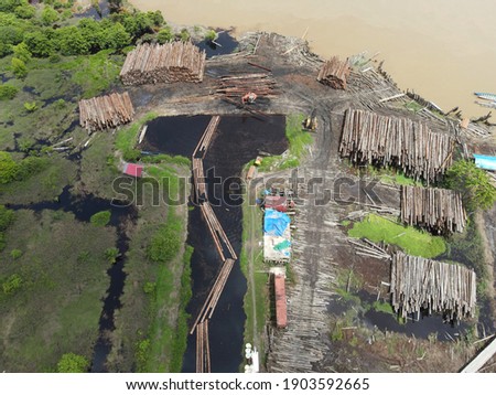 drone photo of a logging activity in a forest area in Borneo, Indonesia