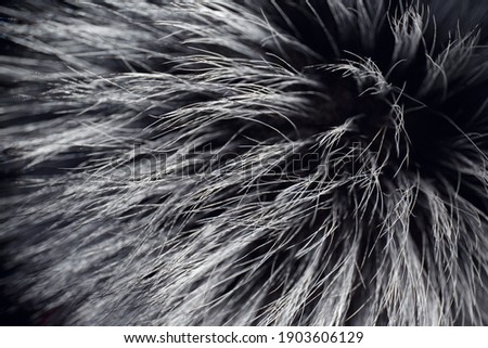 Fur. Fluffy gray pompom made of natural black fox fur on a dark background close-up