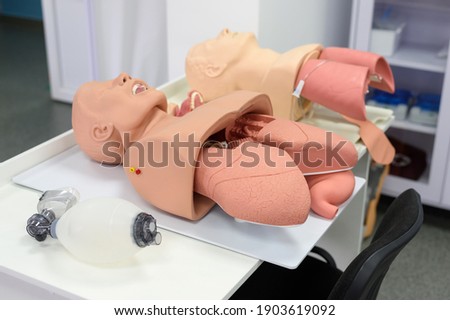 Medical simulators for training students and doctors, anesthesiologists and resuscitators.
Artificial ventilation. Insertion of an endotracheal tube (ETT) into the trachea.
Life saving training. Royalty-Free Stock Photo #1903619092
