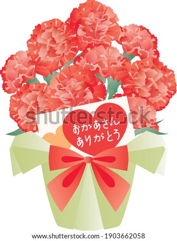 Potted red carnation with a card of the Mother's Day. Translation : "Thanks mother"