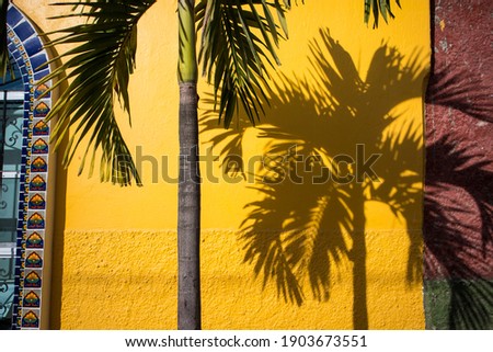 Shadow of a palm tree on a yellow wall in Mexico