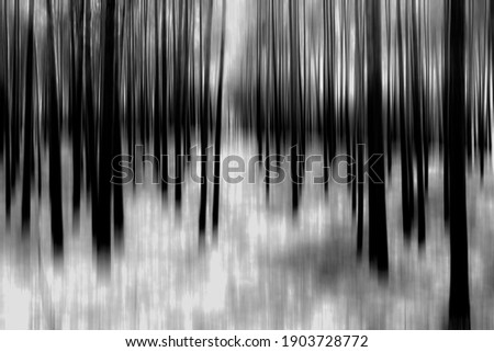 Creatively photographed and subsequently edited forest,abstract in black and white