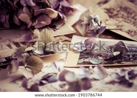 Memories - old and antique family photos  dated to 1930 with old photo album and music notes with dried flowers in vintage style Royalty-Free Stock Photo #1903786744