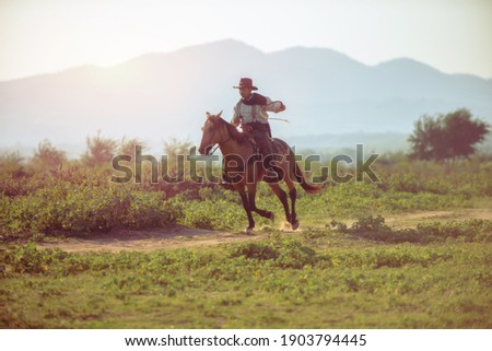 A western cowboy riding a horse in a hand holding a rope