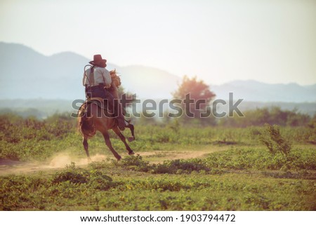 A western cowboy riding a horse in a hand holding a rope