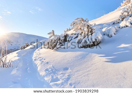 Snowy country road in the mountains. Winter in Carpathian Mountains. Snow and sun