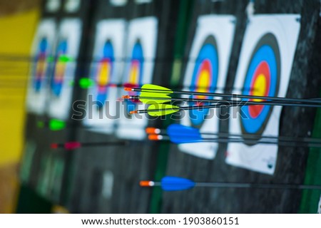 Archery. Arrows in archery target on archery range Royalty-Free Stock Photo #1903860151