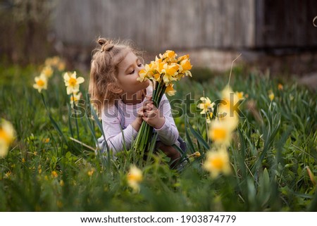 Beautiful little girl picks a bouquet of daffodils in the garden. Funny child toddler sniffs flowers. Spring mood green lawn in a country house. Happy fun childhood freedom. Little gardener florist Royalty-Free Stock Photo #1903874779