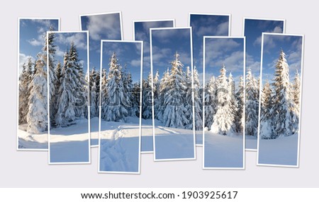 Isolated ten frames collage of picture of snowy mountain forest. Amazing winter scene of Carpathian mountains. Mock-up of modular photo.
