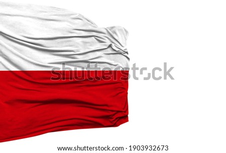 Poland flag isolated on white background