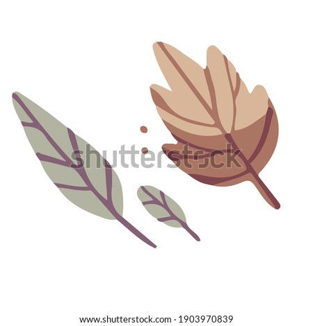 Leaf young leaves vector hand drawn illustration. Green plants, warm season, symbol of spring. Tree leaves in trendy earthy colors. Isolated graphic elements for eco design.