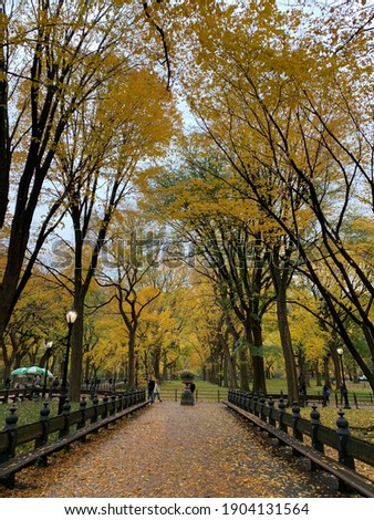 Central Park view in the autumn, Manhattan, New York, USA.