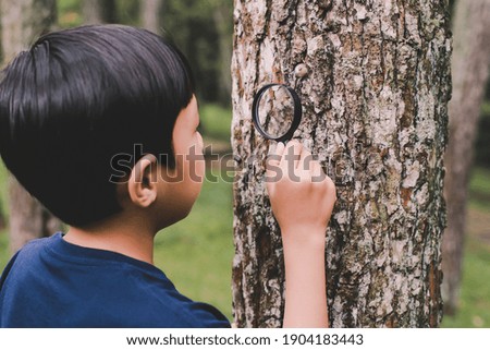 Asian boy exploring tree trunk with magnifying glass