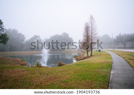 Tropical forest in a foggy winter morning 