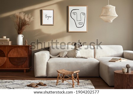 Stylish interior of living room with design modular sofa, furniture, coffee table,  decoration, dried flowers and elegant accessories in modern home decor. Beautiful dog lying on the sofa. Template.