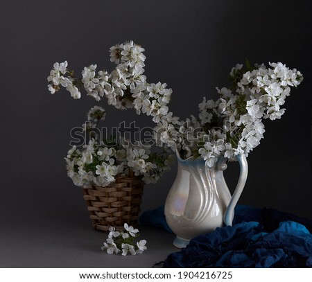 Cherry blossoms in white vase on gray background. Springtime still life.