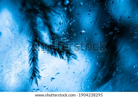 Raindrops on window glass in cold colors, tree branches in the background