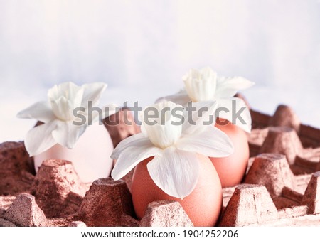 Decorative background with eggs and white daffodils. Easter spring background