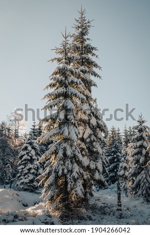 Beautiful winter in the heart of the Europe, in the Czech republic. Mountains covered with snow, trees are white. Jizera mountains, best time to ski.
