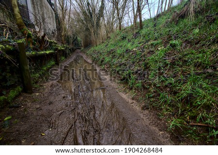 Muddy path in a park on a cloudy day in the italian countryside in late autumn