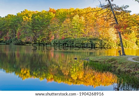 Mirror reflection of a colorful mountain in fall colors.