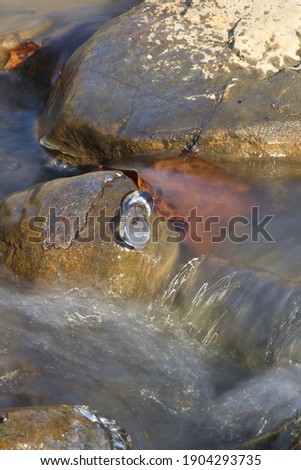 A leaf with ice on the stem that is pinned against rocks in the current of a small, flowing stream