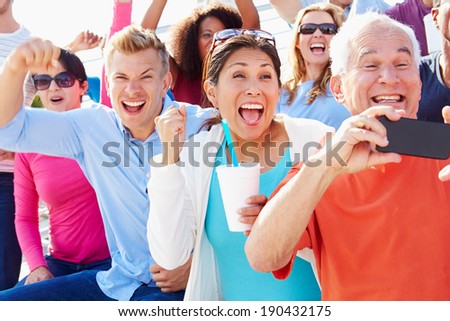 Audience Cheering At Outdoor Concert Performance