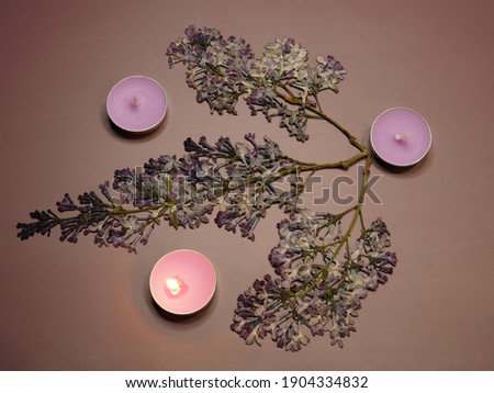 Pink aroma candles, burning candle, dry lilac twigs on a purple background, flat layout. Original floral composition with paraffin scented candles and syringa flowers for design and decoration