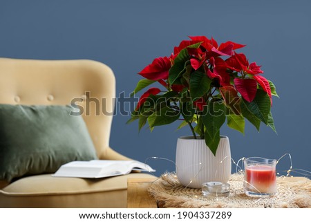 Beautiful Poinsettia, candles and garland on wooden table indoors, space for text. Interior elements Royalty-Free Stock Photo #1904337289