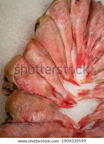 Raw sea bass fish without a head on ice