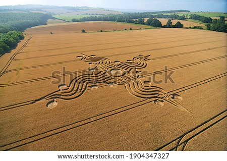 CropCircles England Wiltshire 2008 august Royalty-Free Stock Photo #1904347327
