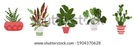 Vector set of five houseplants in pots. Cactus, aloe, monstera, calathea, stromanthe. Illustration of ornamental plants in a hand-drawn style in pink and green colors, isolated on a white background Royalty-Free Stock Photo #1904370628