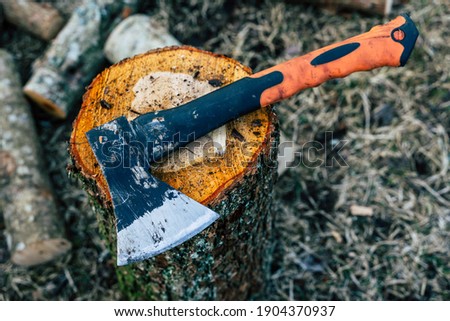 Sharp Ax on Wood Log Surface - Spring Chore Concept