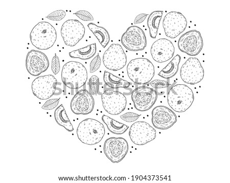 A heart-shaped set of illustrations of guava fruits in different types and leaves of the guava tree. Black outline image are isolated on a white background. Doodle sketch style.