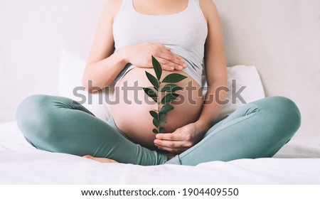 Pregnant woman holds green sprout plant near her belly as symbol of new life, wellbeing, fertility, unborn baby health. Concept pregnancy, maternity, eco sustainable lifestyle, gynecology. Royalty-Free Stock Photo #1904409550