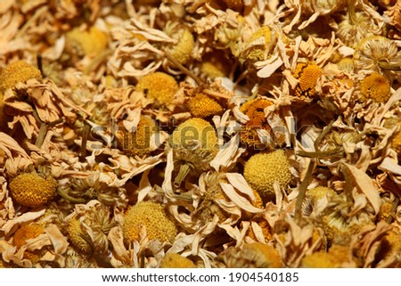 Chamomile dried ready for tee macro background Matricaria chamomilla family asteraceae modern high quality print