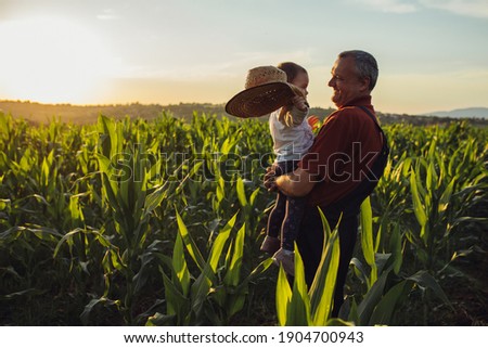 Happy family in corn field. Family standing in corn field an looking at sun rise Royalty-Free Stock Photo #1904700943