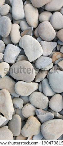 Backgrounds and textures, light sea pebbles, close-up. Space for the text.
