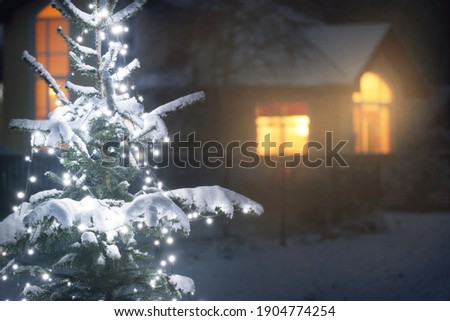 Snow-covered spruce tree illuminated by the garland of white lights in the backyard, close-up. Country house in the background. Winter rural scene. Christmas celebration, decoration, landscape design