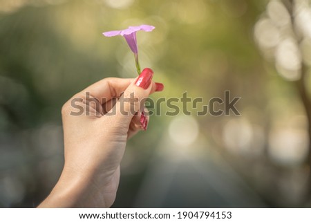 A woman holding flowers is a good day on a bright morning