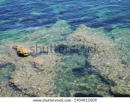Sea bed with rocks at Argentario
