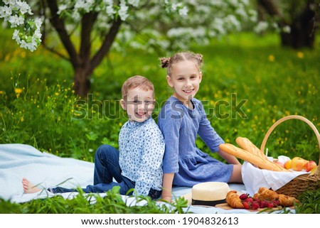 Children enjoy a picnic in the spring garden. A boy and a girl have a fun outdoor lunch in a summer park. Son and daughter eat fruit and sandwiches on a blanket on the ground.