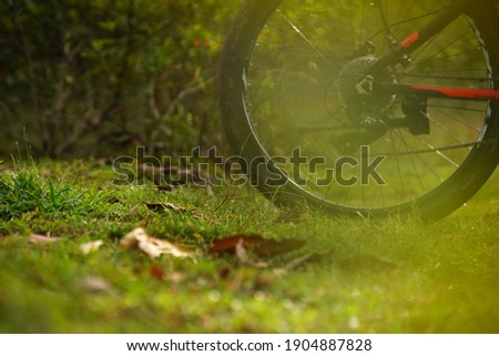 In the picture there is a black bicycle wheel and a green grass background with a natural green leaf background.