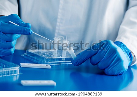 closeup of a healthcare worker, wearing blue surgical gloves, put the sample of a nasopharyngeal swab in contact with the reactant, before to insert it into the covid-19 antigen diagnostic test device Royalty-Free Stock Photo #1904889139