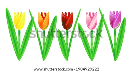 Vector multicolour tulips clip art set.